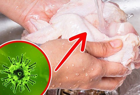 5 Sai Lầm Trong Chế Biến Thịt Gà Sống Vừa Gây Bực Lại Còn Rước Bệnh Vào Thân