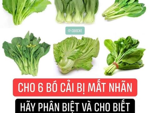 Câu đố Phân Biệt 6 Loại Cải Mới Lấy được Chồng Gây Xôn Xao