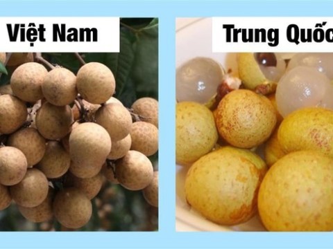 Chỉ Cần Dùng Mắt Thường Nhìn Ra Ngay Quả Trung Quốc ‘đội Lốt’, Chị Em Thông Thái Xem Ngay