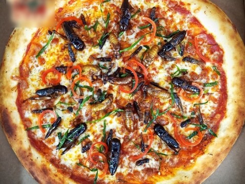 Hà Nội Xuất Hiện Món Pizza Có Topping Châu Chấu, Ve Sầu, Dế Mèn Nhìn Mà Hốt