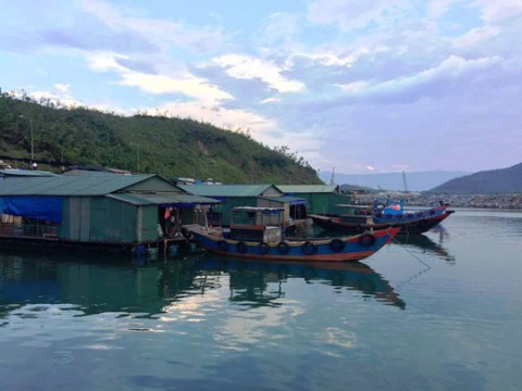 Hà Tĩnh Níu Chân Du Khách Mùa 'mực Nhảy'