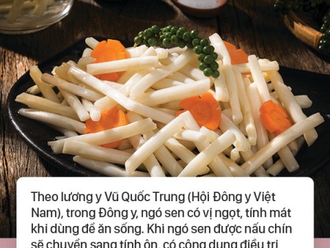 Món ăn Này được Giới Vua Chúa Xưa Vô Cùng Trọng Dụng, Hóa Ra Bởi Vì Nó Có Thể Chữa Hàng Tá Bệnh!