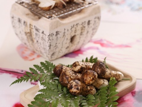 Nấm Matsutake – 'thần Dược' Cho Phái đẹp