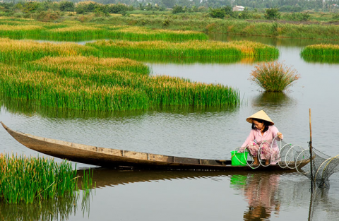 Năn Bộp Là Món Gì Vậy Ta?