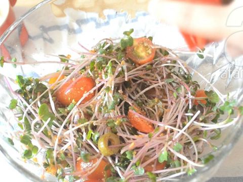 Salad Rau Mầm Dầu Giấm Chống Tăng Cân Dịp Nghỉ Lễ