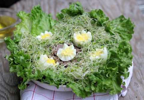 Salad Rau Mầm đơn Giản Mà Giòn Mát, Ngon Mê