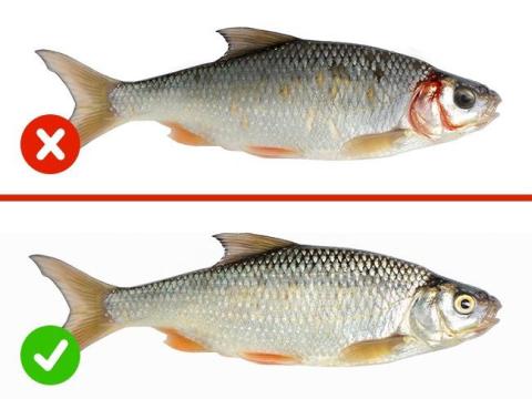 Trời Lạnh, Thích ăn Cá Kho Mà Quên 4 Mẹo Này Thì Cá Tanh Không Nuốt Nổi