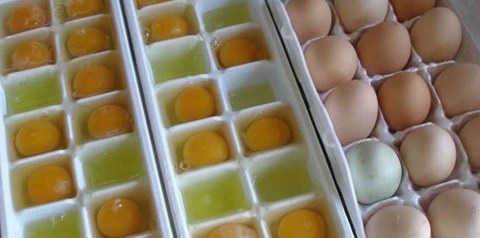 Không Mấy Người Phát Huy Hết Tác Dụng Của Ngăn đá Tủ Lạnh