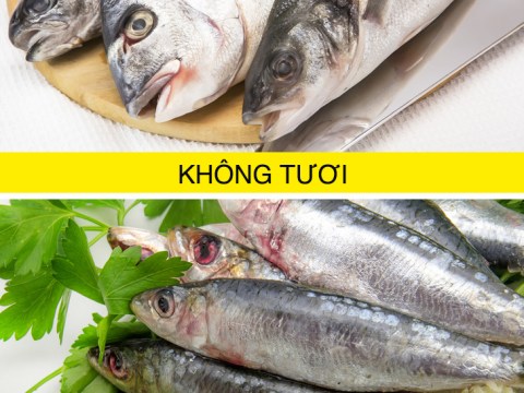 9 Mẹo Phân Biệt Thực Phẩm Tươi Khi đi Chợ