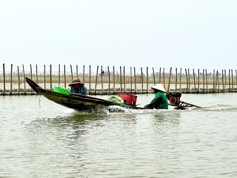 Một Ngày Lênh đênh Hệ đầm Phá Nước Lợ Lớn Nhất Đông Nam Á