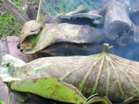 Thèm Thuồng Món Cá “kỳ Lạ Nhất Hành Tinh”