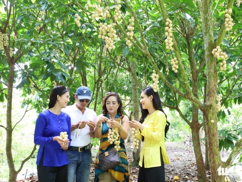 Về Cần Thơ, Khó Nhịn Thèm Món ‘gà Um Dâu Hạ Châu’ Ngọt Lịm